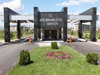 Üniversite